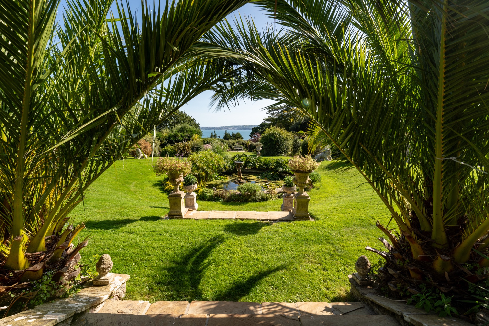 Palms and sea views