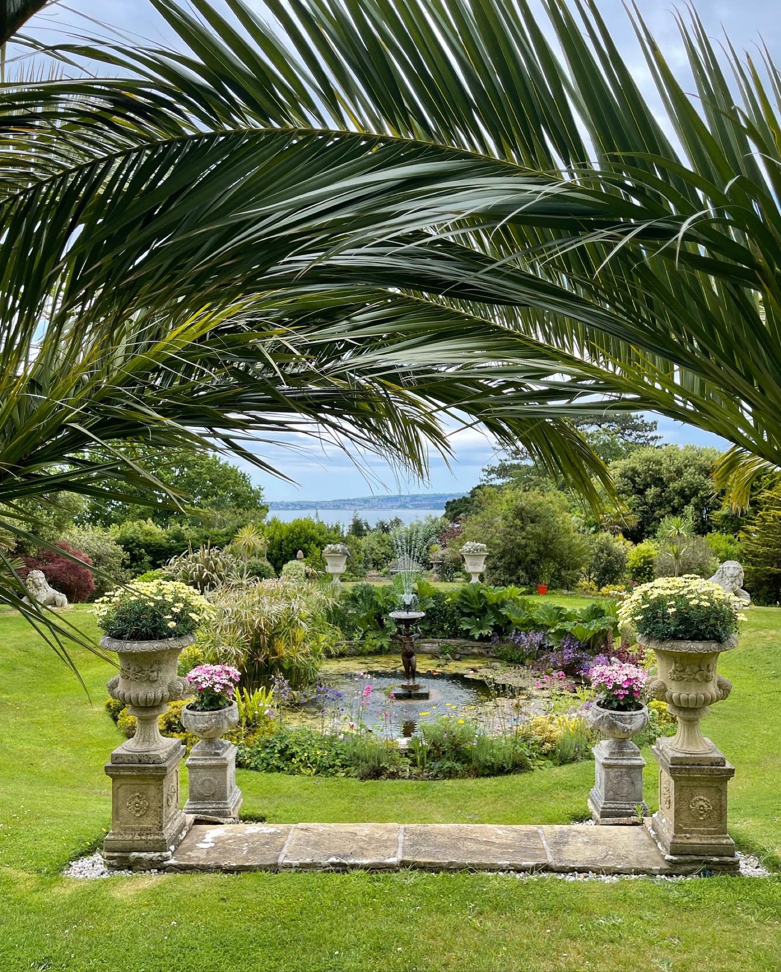 The garden pond